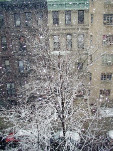 NYsnowflakes